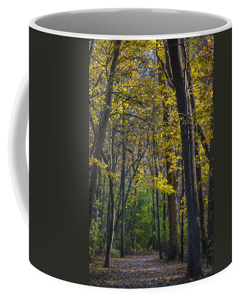 Fall Coffee Mug featuring the photograph Autumn Trees Alley by Sebastian Musial