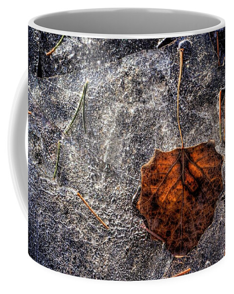 Ice Coffee Mug featuring the photograph Autumns Afterglow by Steve Sullivan