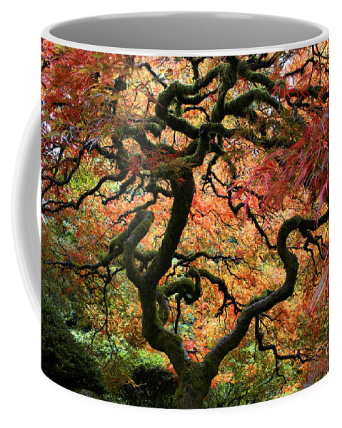 Japan Coffee Mug featuring the photograph Autumn's Fire by Jean Hildebrant
