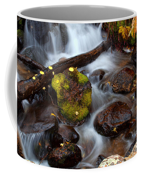 Autumn Colors Coffee Mug featuring the photograph Autumn's Flow by Jim Garrison