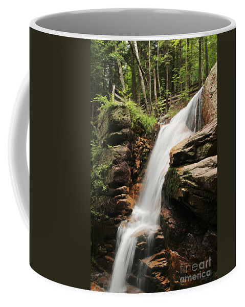Avalanche Falls Coffee Mug featuring the photograph Avalanche Falls by Jemmy Archer