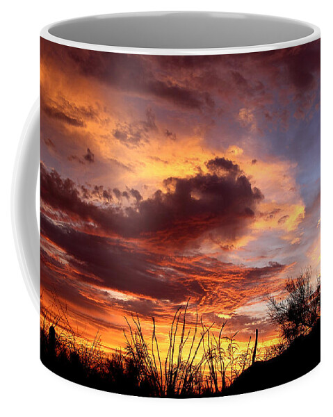 Clouds Coffee Mug featuring the photograph Az Monsoon Sunset by Elaine Malott