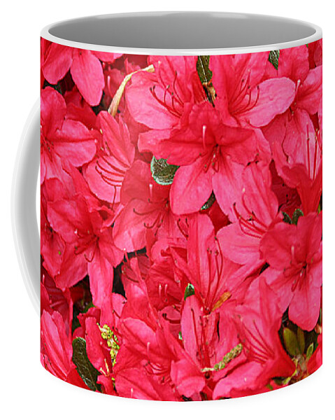 Nature Coffee Mug featuring the photograph Azalea in Bloom by William Selander