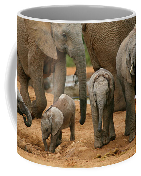 Elephant Coffee Mug featuring the photograph Baby African Elephants by Bruce J Robinson