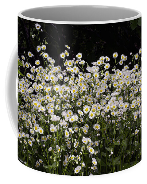 2d Coffee Mug featuring the photograph Baby Bloomers by Brian Wallace