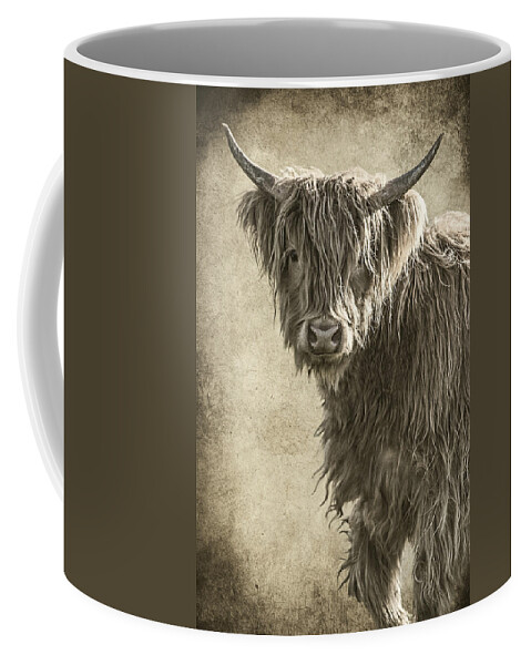 Baby Highland Coffee Mug featuring the photograph Baby Highland by Wes and Dotty Weber