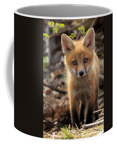 Red Coffee Mug featuring the photograph Baby in the Wild by Everet Regal