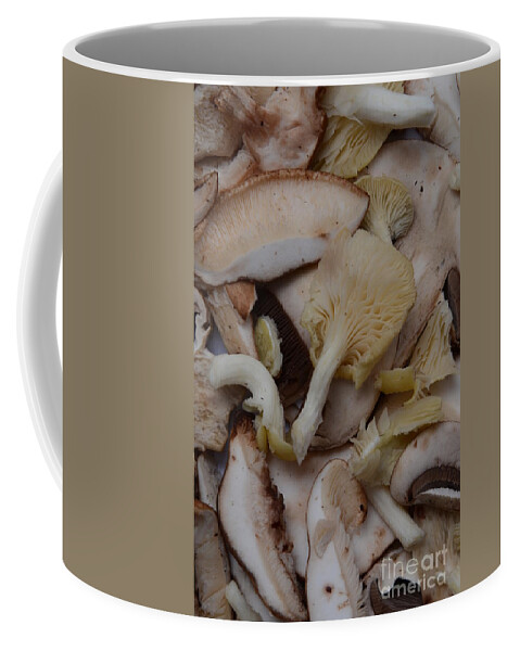 Edible Coffee Mug featuring the photograph Baby Portobello & Oyster Mushrooms by Photo Researchers, Inc.