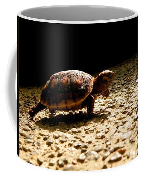 Turtle Coffee Mug featuring the photograph Baby Steps by Micki Findlay