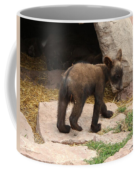 Bear Coffee Mug featuring the photograph Baby by Veronica Batterson