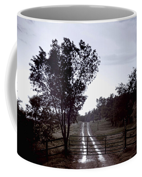 Road Coffee Mug featuring the photograph Back Country Road And Then The Rain Came by James BO Insogna