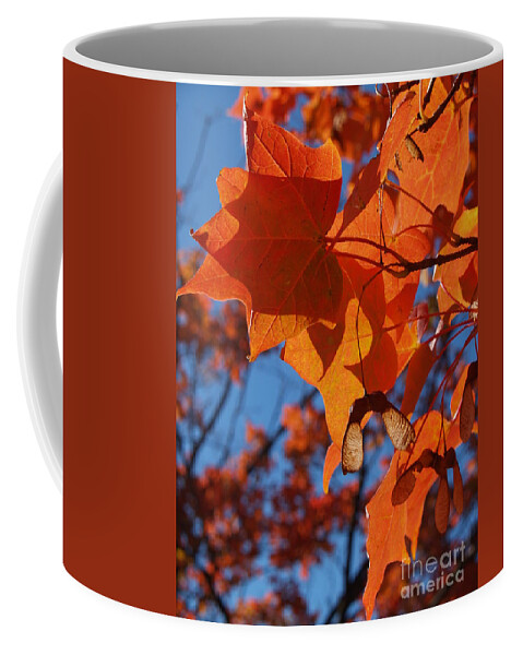 Maple Leaves Coffee Mug featuring the photograph Backlit Orange Sugar Maple Leaves by Anna Lisa Yoder