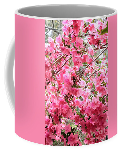 Pink Azaleas Coffee Mug featuring the photograph Backlit Rainy Azaleas by Carol Groenen