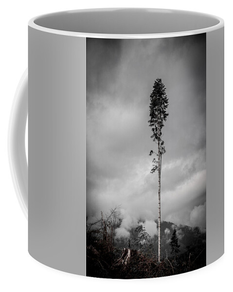 Black And White Coffee Mug featuring the photograph Lone Tree Landscape by Roxy Hurtubise