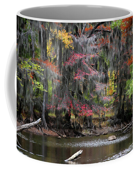 Autumn Coffee Mug featuring the photograph Backwater Autumn by Lana Trussell