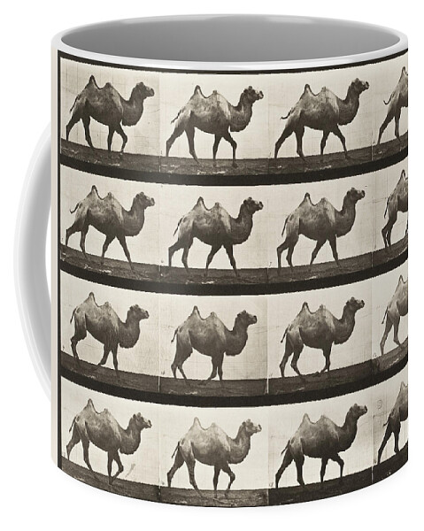 Action Coffee Mug featuring the photograph Bactrian Camel Walking by Celestial Images