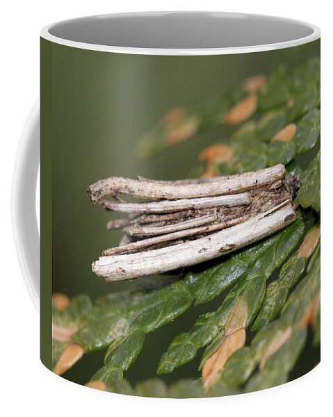 Bagworm Coffee Mug featuring the photograph Bagworm moth pupal casing by Doris Potter