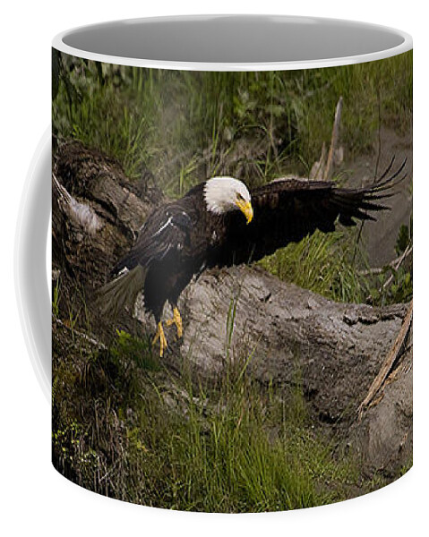 Haliaeetus Leucocphalus Coffee Mug featuring the photograph Bald Eagle #1262 by J L Woody Wooden