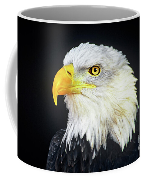 Bald Eagle Coffee Mug featuring the photograph Bald Eagle Hailaeetus Leucocephalus Wildlife Rescue by Dave Welling