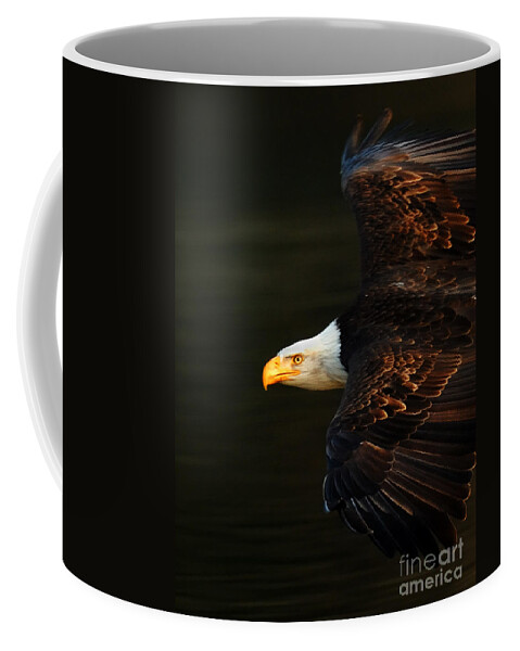 Eagle Coffee Mug featuring the photograph Bald Eagle In Flight by Bob Christopher