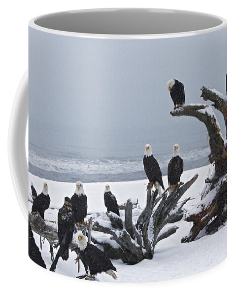 Bald Eagle Coffee Mug featuring the photograph Bald Eagles by M. Watson