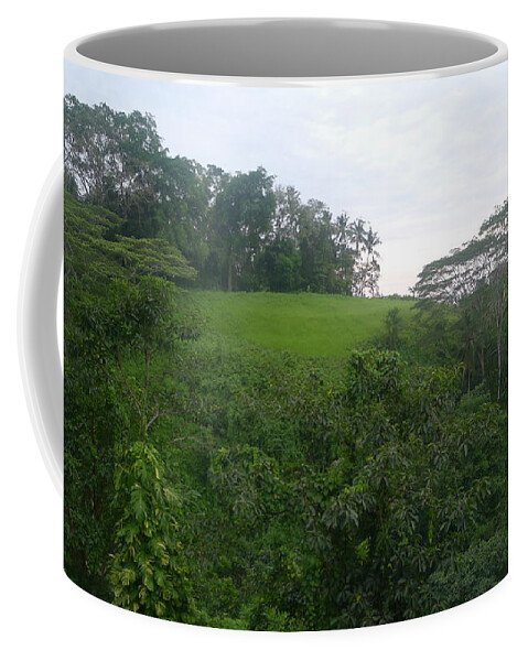 Bali Coffee Mug featuring the photograph Bali Hilltop by Nora Boghossian