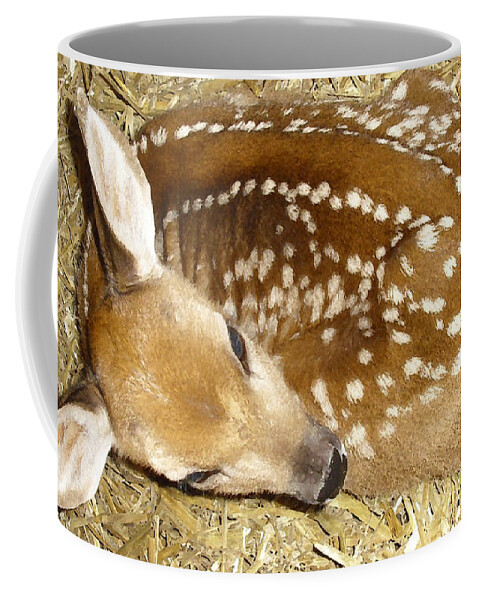 Fawn Coffee Mug featuring the photograph Bambi by Jodie Marie Anne Richardson Traugott     aka jm-ART