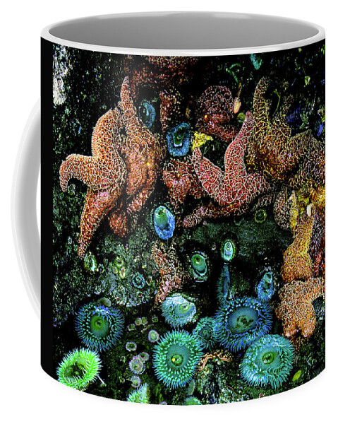 Pacific Ocean Coffee Mug featuring the photograph Bandon Beach Oregon Pacific Tidal Pool by Ed Riche