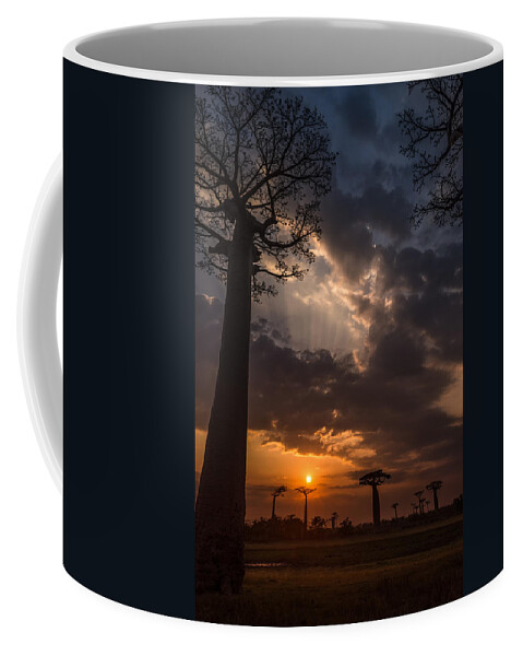 Baobab Coffee Mug featuring the photograph Baobab Sunrays by Linda Villers