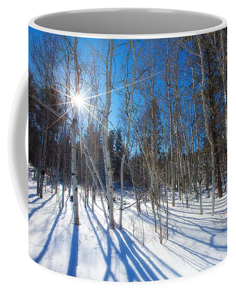 Winter Coffee Mug featuring the photograph Bare Aspens by Darren White