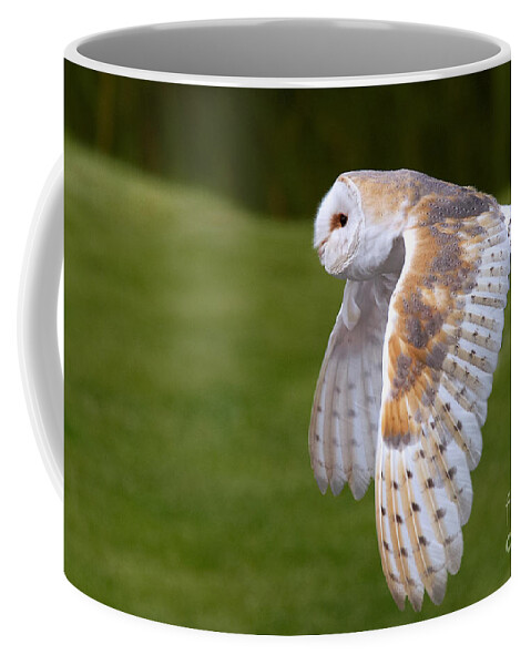 Action Coffee Mug featuring the photograph Barn Owl in flight by Nick Biemans