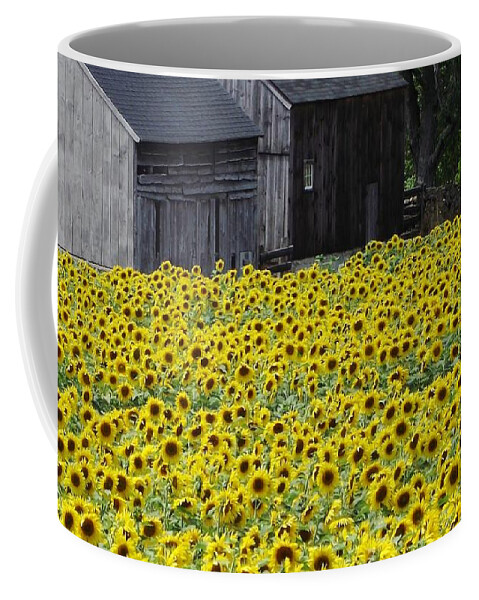 Field Of Sunflowers Coffee Mug featuring the photograph Barns and Sunflowers by Michelle Welles