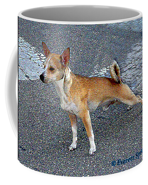 Everett Spruill Coffee Mug featuring the photograph Basenji 2 by Everett Spruill