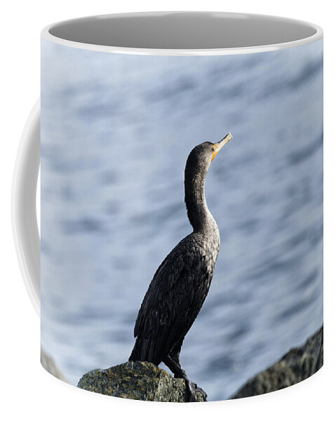 Cormorant Coffee Mug featuring the photograph Basking in the Light by Betty Depee