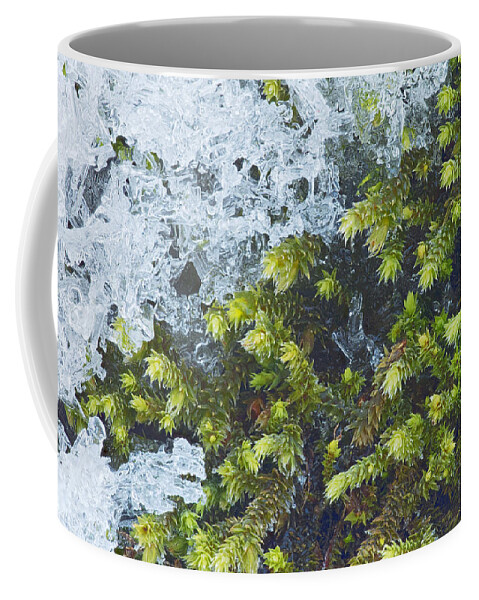Winter Coffee Mug featuring the photograph Battle Between Seasons by Jim Zablotny