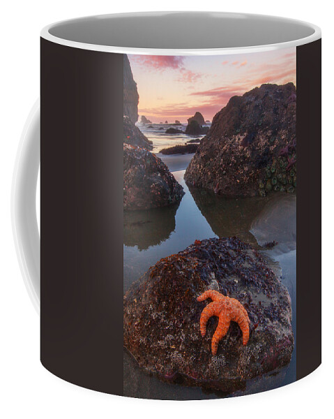 Southern Oregon Coast Coffee Mug featuring the photograph Battle Rock Sunrise by Darren White
