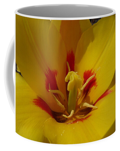Flower Photograph Coffee Mug featuring the photograph Be Drawn In - signed by Michele Penn
