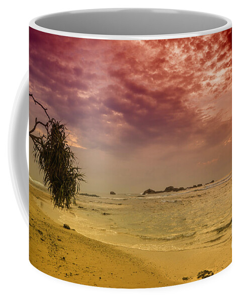 Sunset Coffee Mug featuring the photograph Beach and Sunset by Gina Koch
