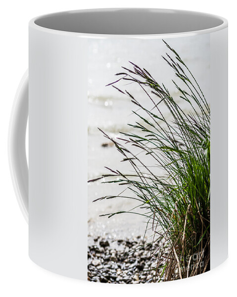 Ammersee Coffee Mug featuring the photograph Beach grass by Hannes Cmarits
