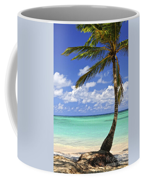 Beach Coffee Mug featuring the photograph Beach of a tropical island by Elena Elisseeva