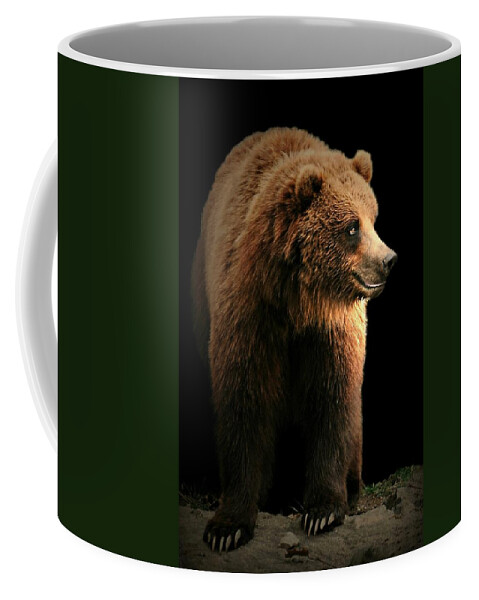 Animal Coffee Mug featuring the photograph Bear Essentials by Diana Angstadt