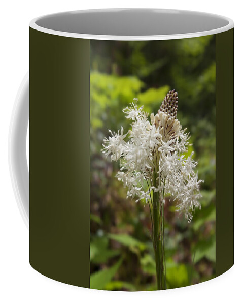 Art Coffee Mug featuring the photograph Bear Grass No 2 by Belinda Greb