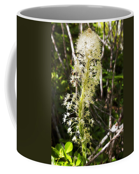 Art Coffee Mug featuring the photograph Bear Grass No 3 by Belinda Greb