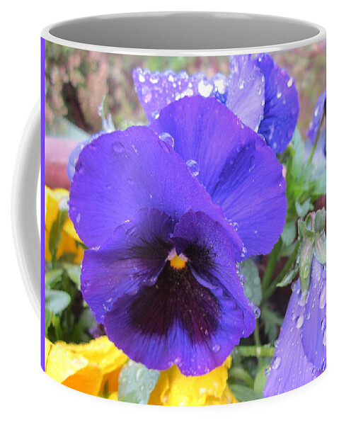 Pense Coffee Mug featuring the photograph Beauties in the rain by Rosita Larsson