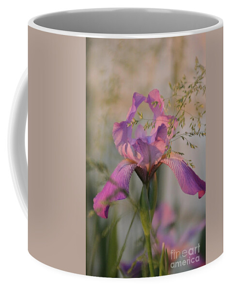 Beautiful Coffee Mug featuring the photograph Beautiful and Mystical Iris by Jennifer E Doll