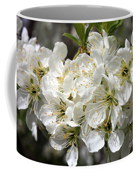 Apple Blossoms Coffee Mug featuring the photograph Beautiful Apple Blossoms by Carol Groenen