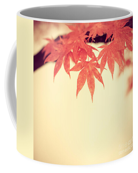 Autumn Coffee Mug featuring the photograph Beautiful Fall by Hannes Cmarits