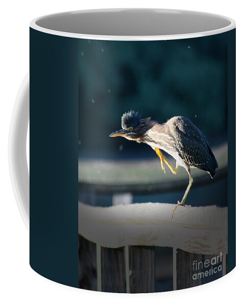 Heron Coffee Mug featuring the photograph Beautiful Green Heron by Anita Oakley