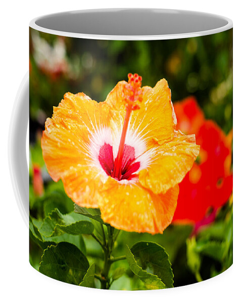 Beautiful Coffee Mug featuring the photograph Beautiful Hibiscus by Raul Rodriguez