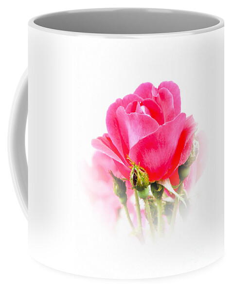 Rose Coffee Mug featuring the photograph Beautiful Rose by Anita Oakley